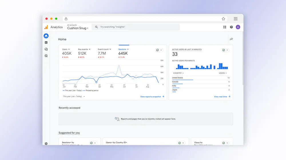 Results Analytics Cushion Snug Website
